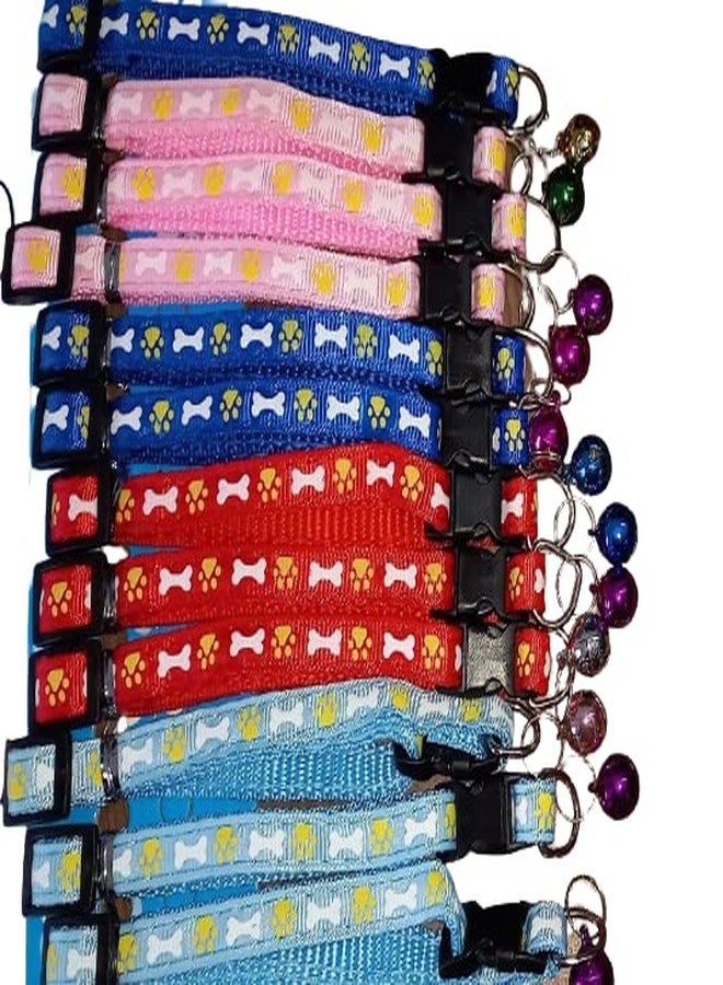 Smart Pups Bone and Panja Print Collar for Dogs Colour May Very (Pack of 12 Pcs) - Image 1